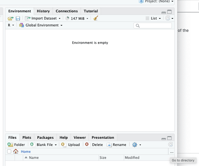 RStudio environments panel