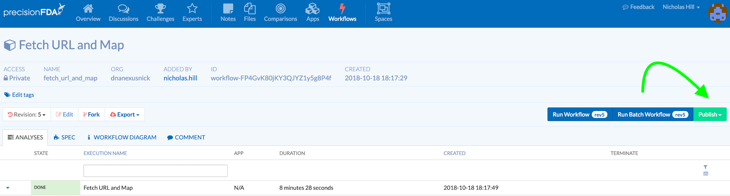 Workflows tab overview with highlighted Publish button